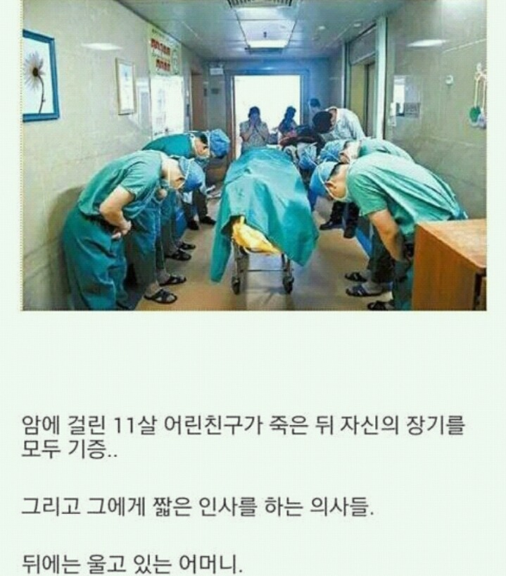 장기를 기증한 아이에 대한 예우 | 인스티즈