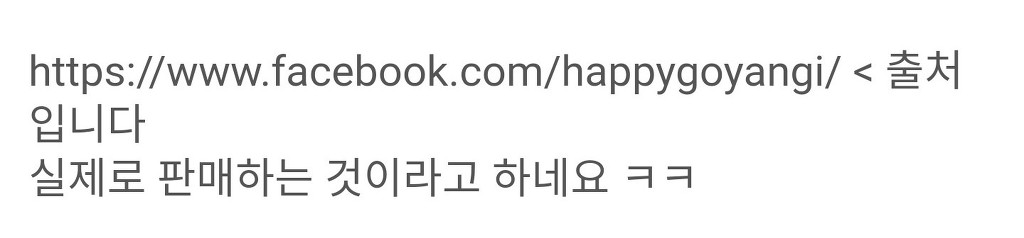냥냥이 세상 | 인스티즈