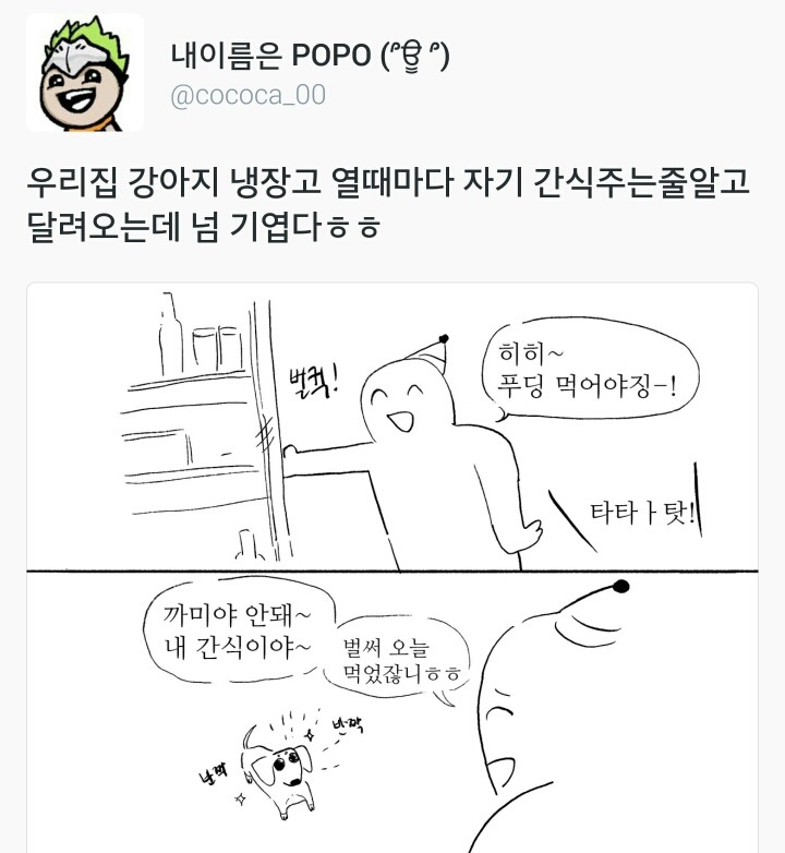 우리집 강아지 냉장고 열때마다 자기 간식주는 줄 알고 달려오는데 넘 기엽다ㅎㅎ.twt | 인스티즈