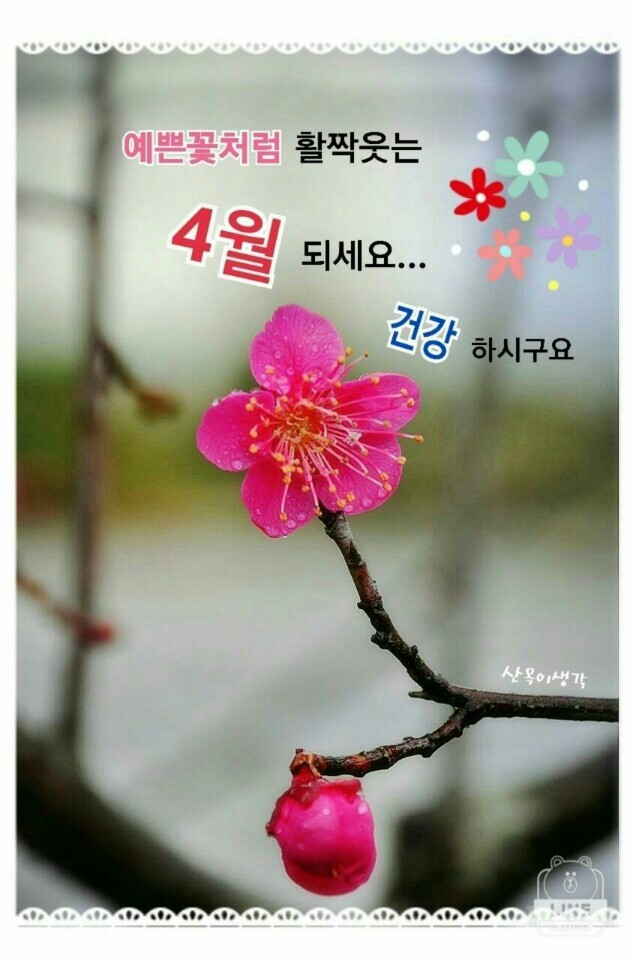 꽃피는봄 이미지