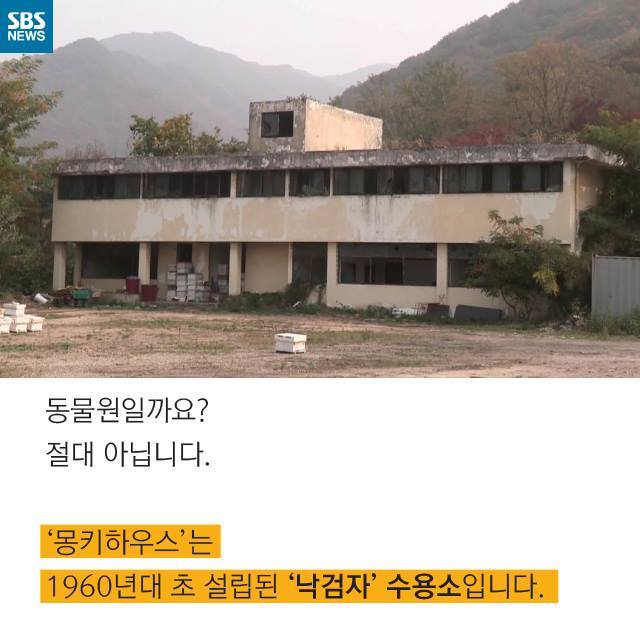  우리는 원숭이가 아닙니다 | 인스티즈