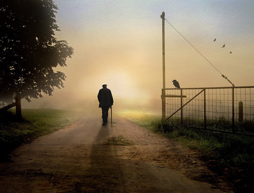 인간이 죽을 때 제일 많이 하는 후회 | 인스티즈