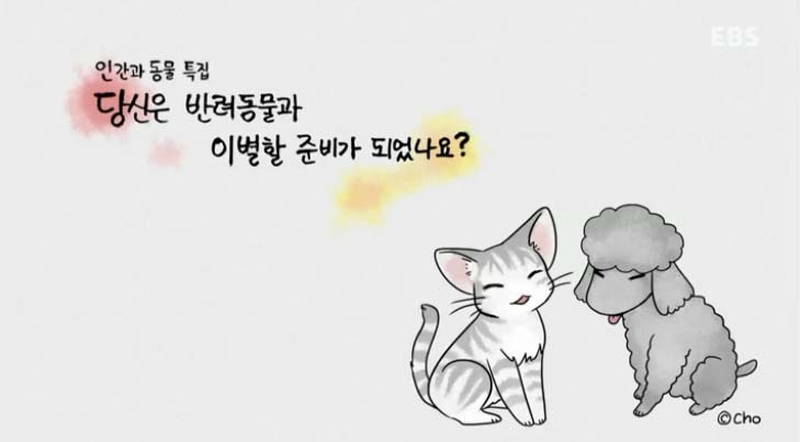  당신은 반려동물과 이별할 준비가 되었나요? | 인스티즈
