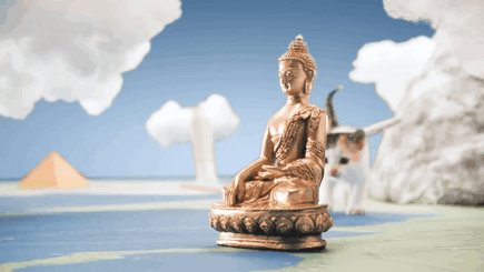 세계여행하는 냥이들 gif | 인스티즈