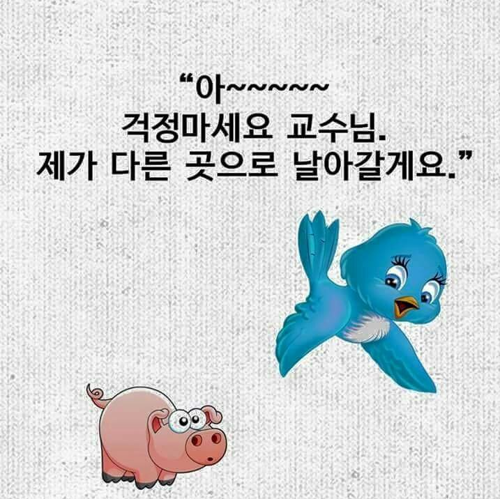 말싸움甲 간디 클라스 | 인스티즈