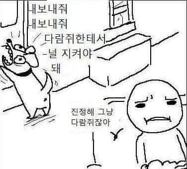 강아지 공감 | 인스티즈