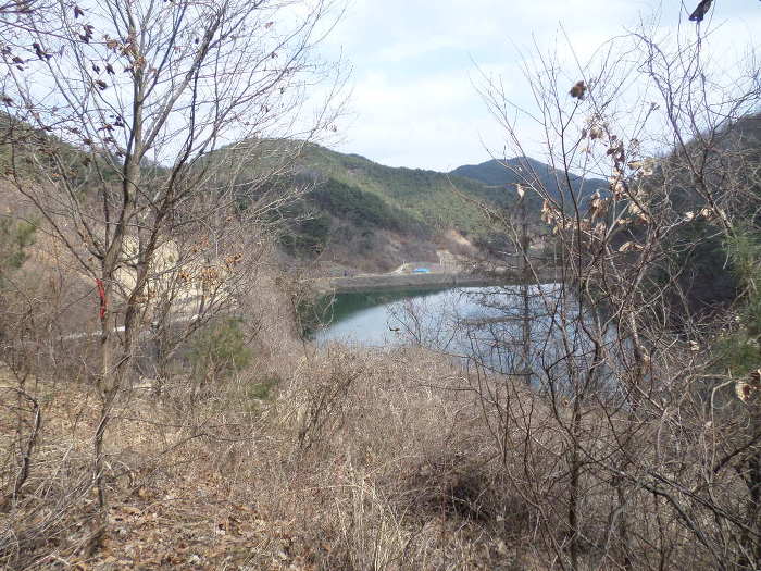 사일산 이미지