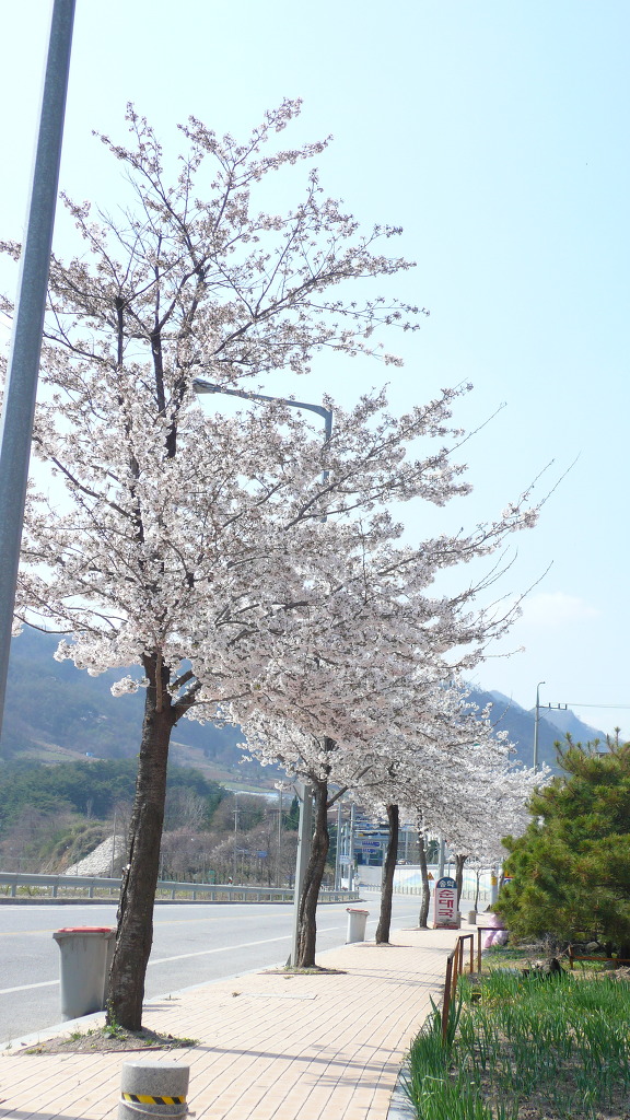 미탄 이미지