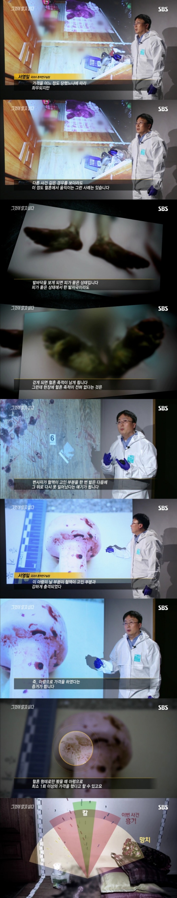 그알 레전드 37 - 범인은 섬안에 있다.jpg | 인스티즈