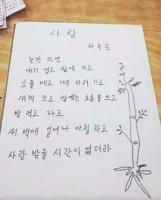막 한글배운 할머니들이 쓴 글 14선 | 인스티즈