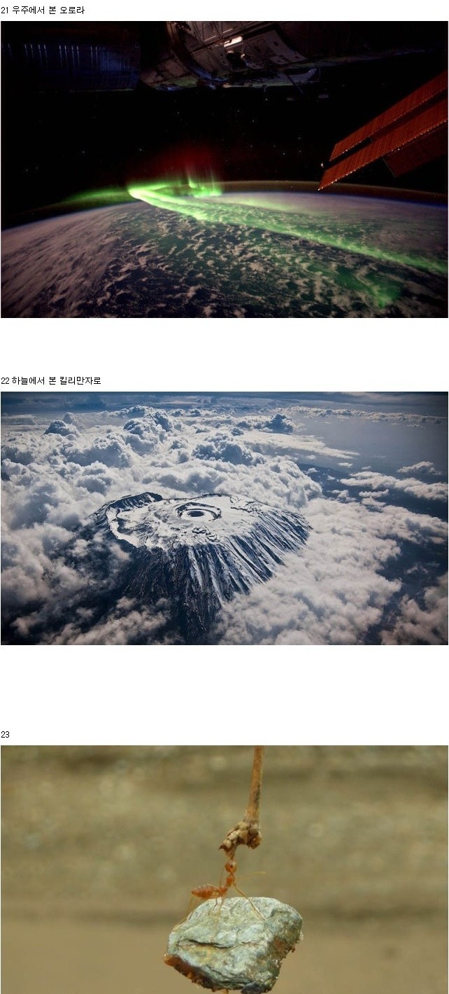 세계의 기묘한 순간포착 | 인스티즈
