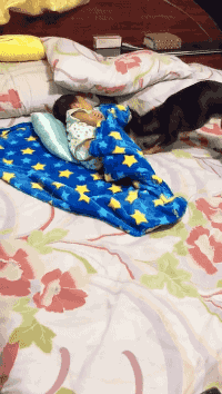 우리가 모르는 강아지의 배려.gif | 인스티즈