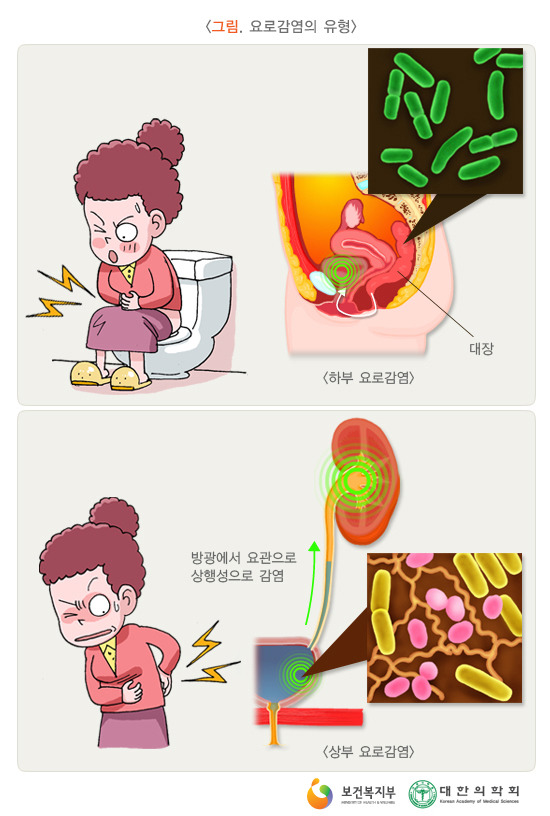 코넬비뇨기과의원 이미지
