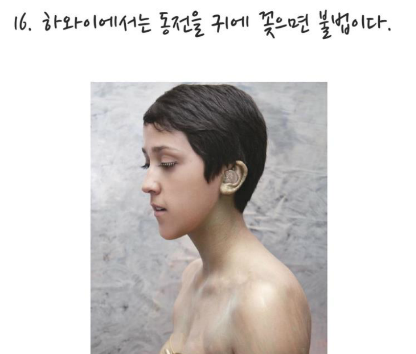 세계 황당한 법률 | 인스티즈