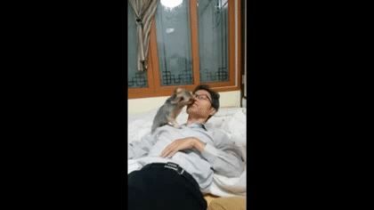 ??? : 그놈의 개×× 집에 데려오기만 해봐 내다 버릴거니까 | 인스티즈
