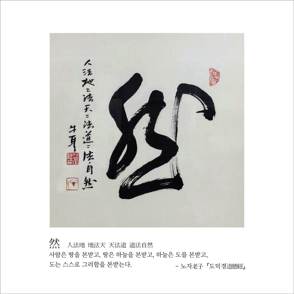 더불어숲법인 이미지