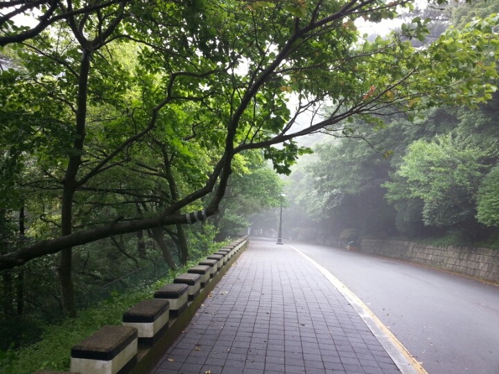 태종대요양병원 이미지