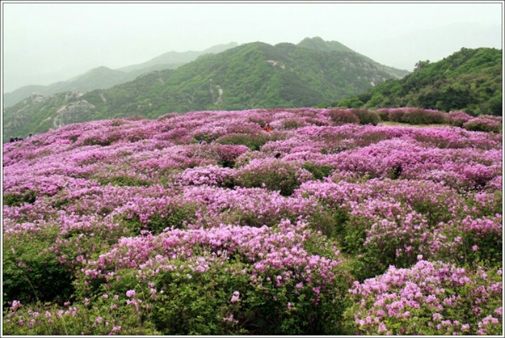 이뿌지요 이미지