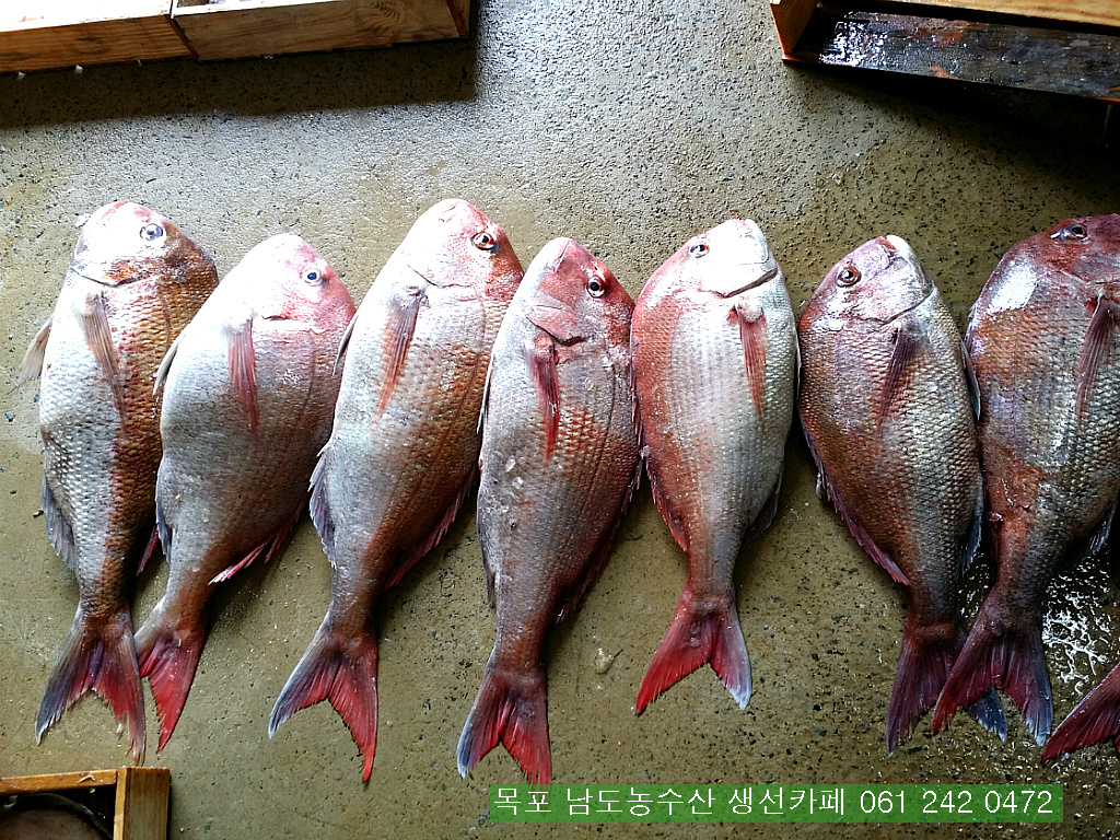 보교기획 이미지