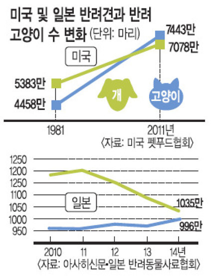 멍멍이 시대 가고 야옹이 시대 온다.. 고령화·1인가구 늘면서 개보다 키우기 쉬워 '선호' | 인스티즈