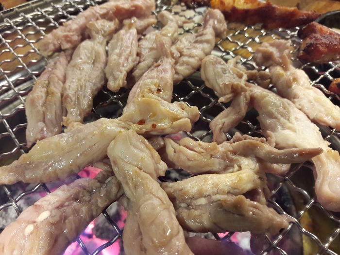 밤새우는닭 이미지
