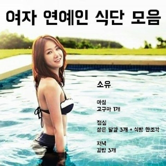 여자연예인 다이어트 식단 | 인스티즈
