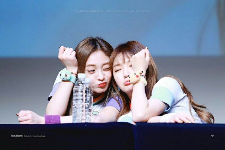 술시 이미지