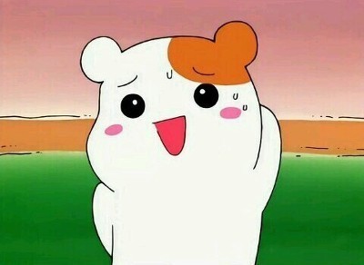 훅 이미지