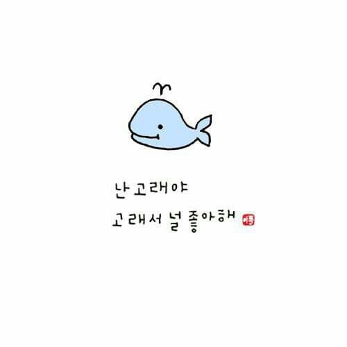 여자친구한테 보내면 좋은짤 | 인스티즈