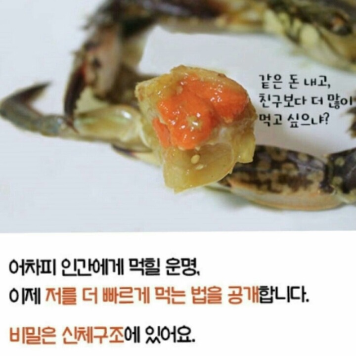 간장게장 먹는방법 | 인스티즈