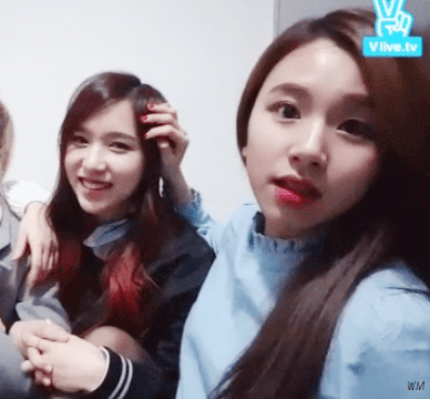 트와이스 미나&채영.gif | 인스티즈
