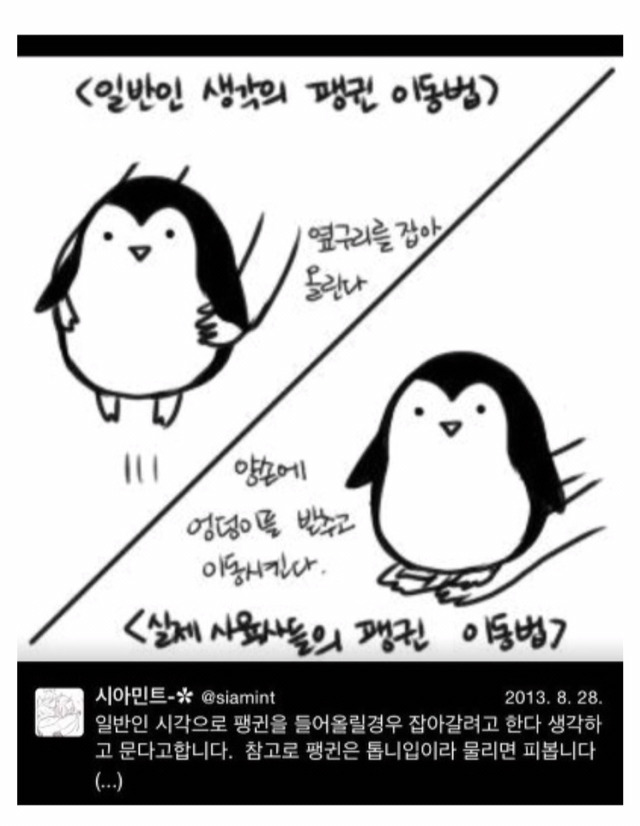 펭귄을 옮기는 법 | 인스티즈