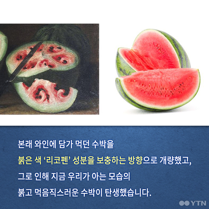 당신이 모르는 수박의 숨겨진 과거 | 인스티즈