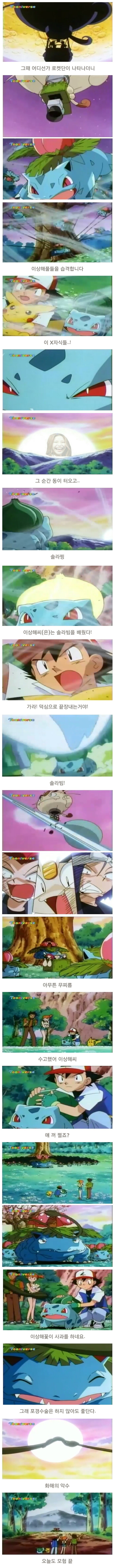 진화하기 싫은 이상해씨 | 인스티즈