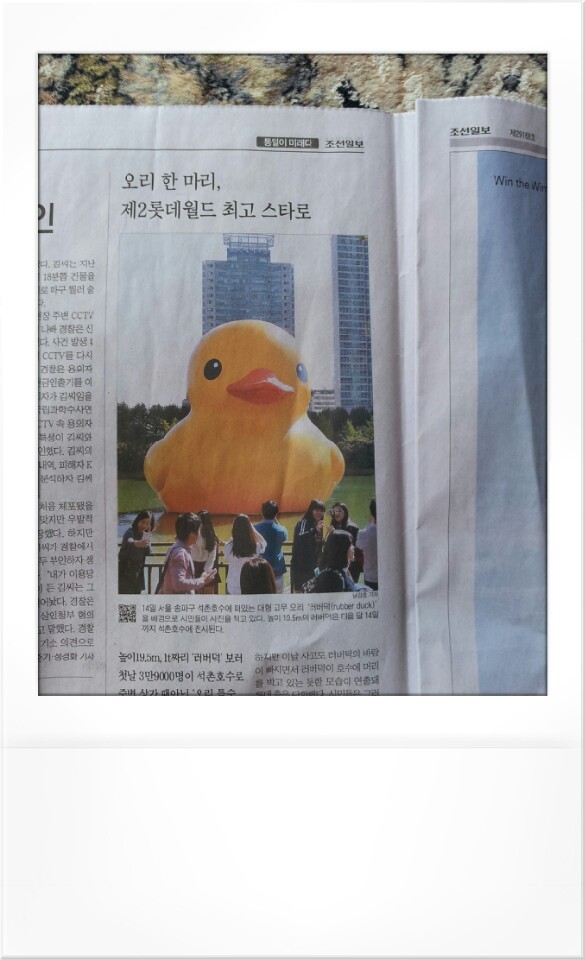 오리한마리 이미지