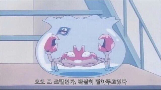 박사에게 보내진 포켓몬의 비밀.pokemon | 인스티즈