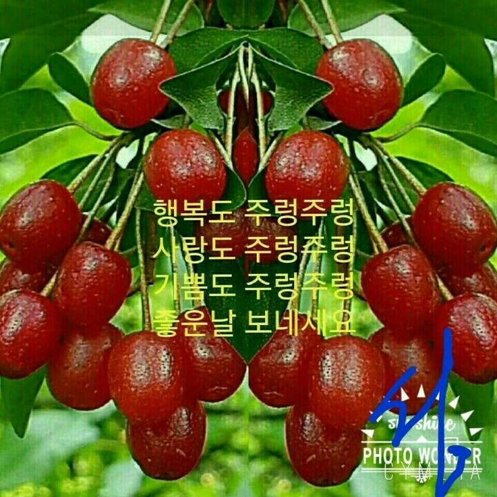 일이사 이미지