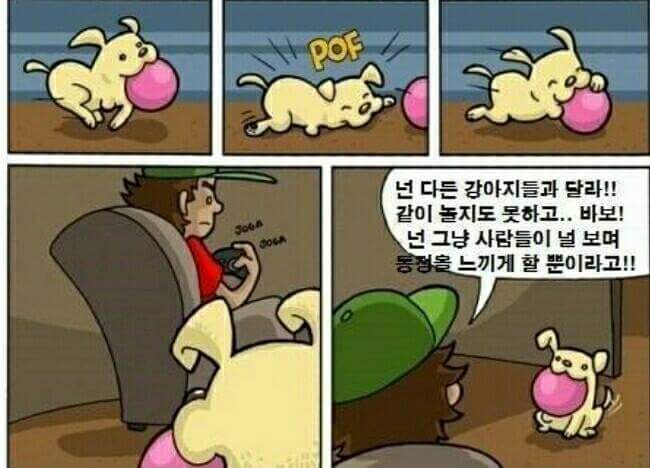 한 쪽 다리가 없는 강아지를 선물받은 소년 | 인스티즈