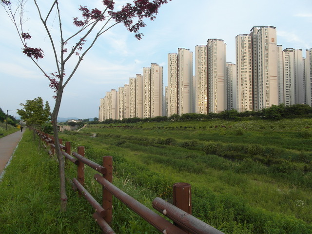 서울아산병원 이미지