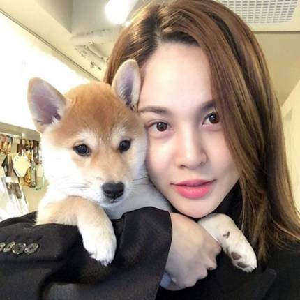 아이비 feat.시바견 | 인스티즈