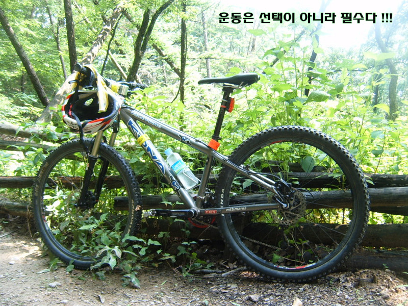 스칸디움 이미지