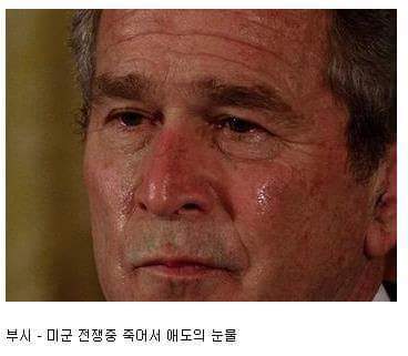 대통령들의 눈물 | 인스티즈