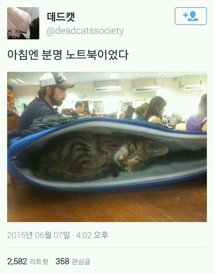 아침에는 분명 노트북이었다.JPG | 인스티즈