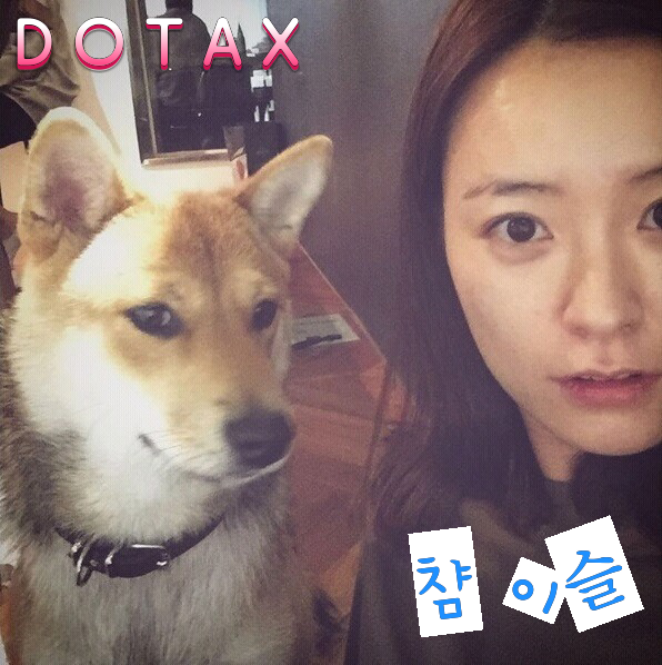 국내최초 성인VR방 멜팅VR시네마 오픈 | 인스티즈