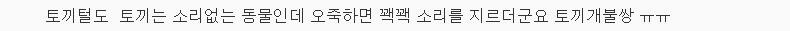 오리털 적게 든 얇은 다운점퍼도 보온력은 비슷 | 인스티즈