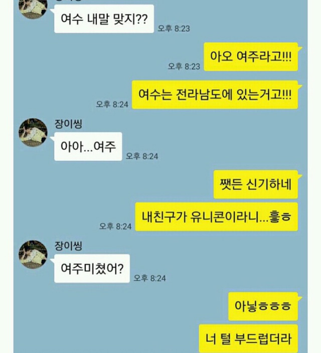 이젠 사람 아니고 동물이다 유니콘 영고엑 | 인스티즈