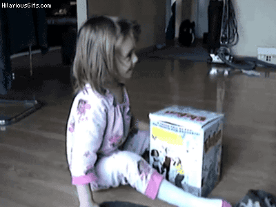 고양이 박스.gif | 인스티즈