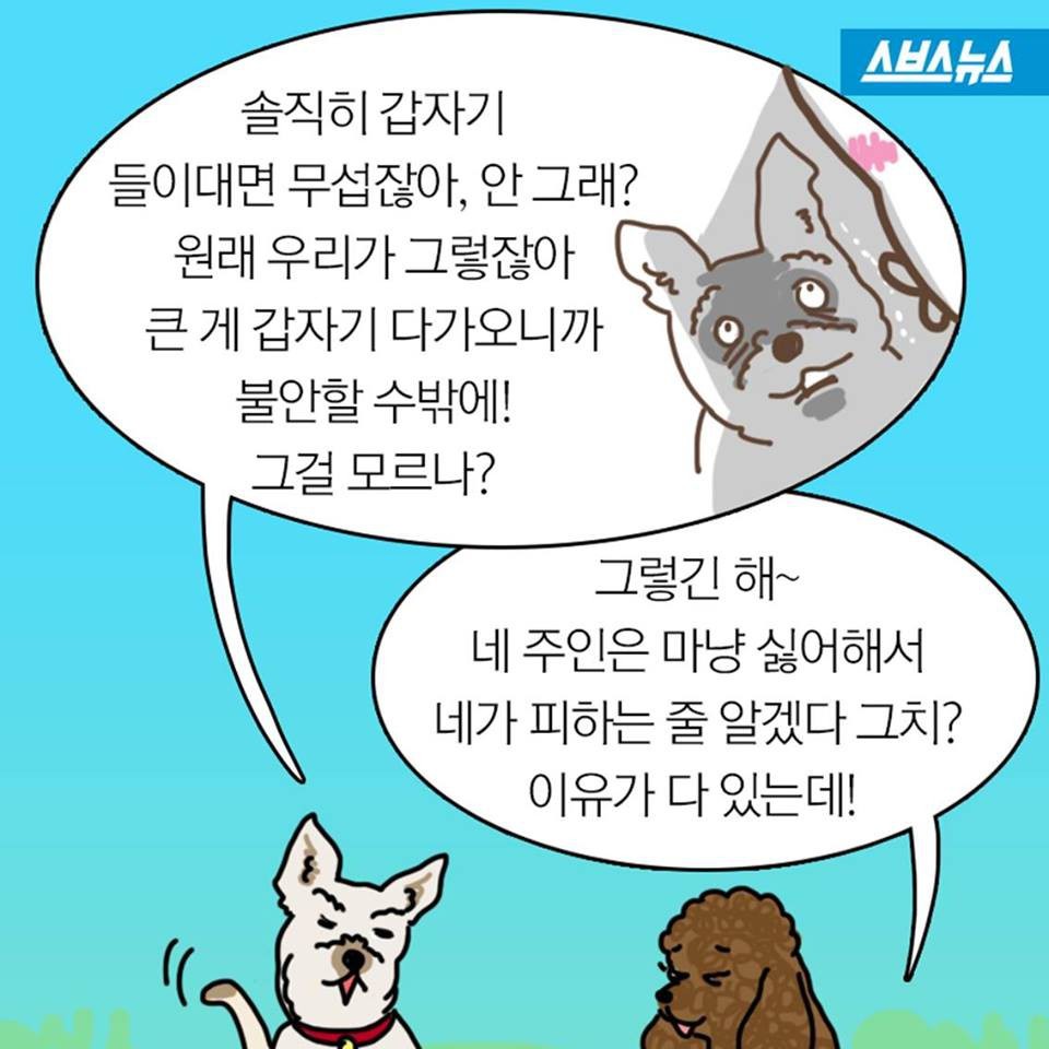 개들이 뽀뽀를 피하는 이유.jpg | 인스티즈