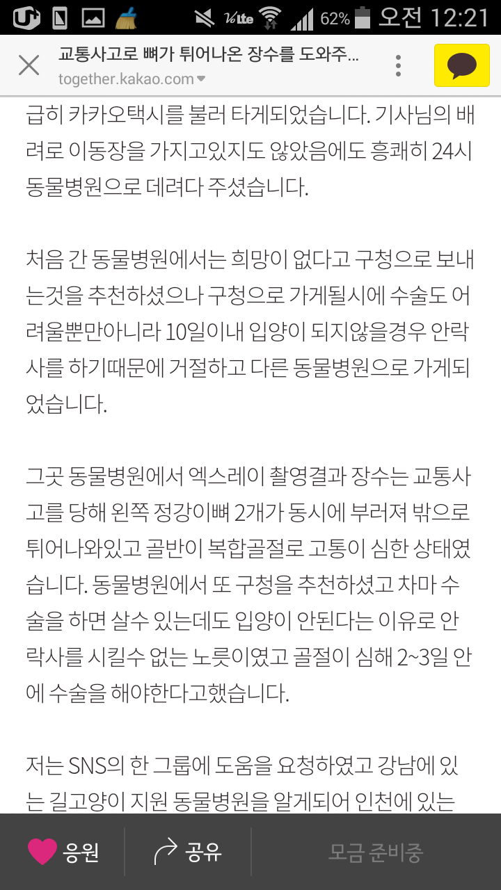 교통사고로 뼈가 튀어나온 길고양이 장수를 도와주세요! | 인스티즈