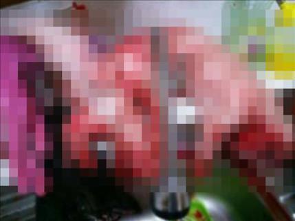 "너도 이 꼴 된다"..반려견 도살 뒤 사진 찍어 동거녀에 전송(사진 주의) | 인스티즈